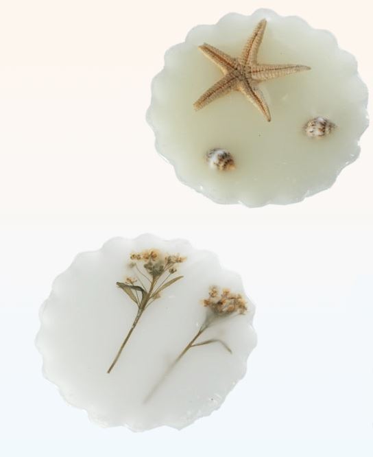 SCENTED MELT JASMINE / BLUE WATER. 100970 \\\100970