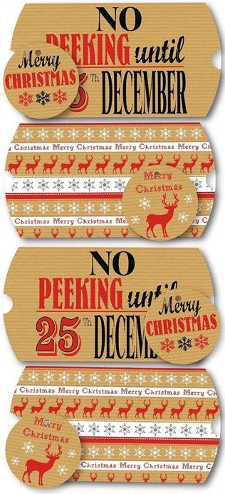 4 LUXURY CHRISTMAS TRADITIONAL PILLOW PACKS. 14361 \\\14361