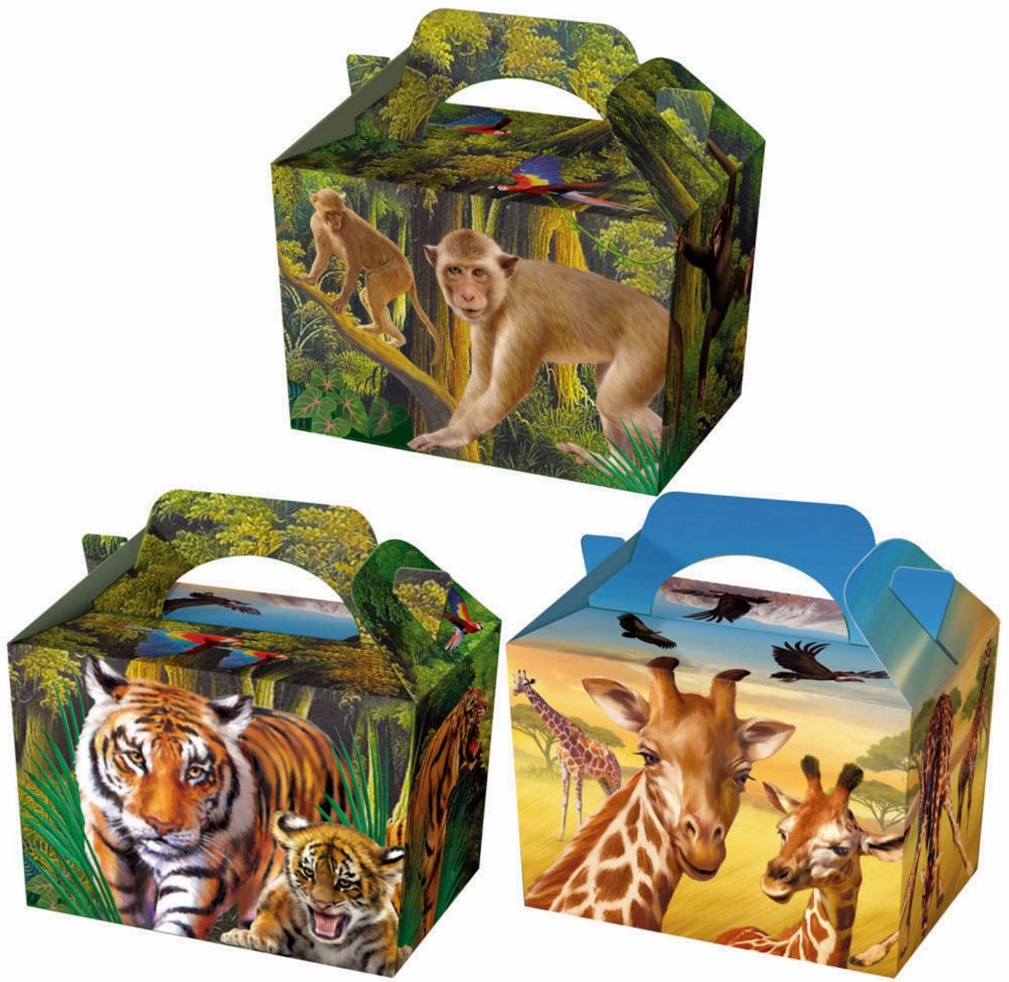 6PK WILD ANIMALS KID CHILDRENS PLAIN ACTIVITY FOOD BOX LOOT. 395714 \\\395714