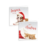 GIFTMAKER PET CHRISTMAS GREETINGS CARDS 12/PK. XAKGC812