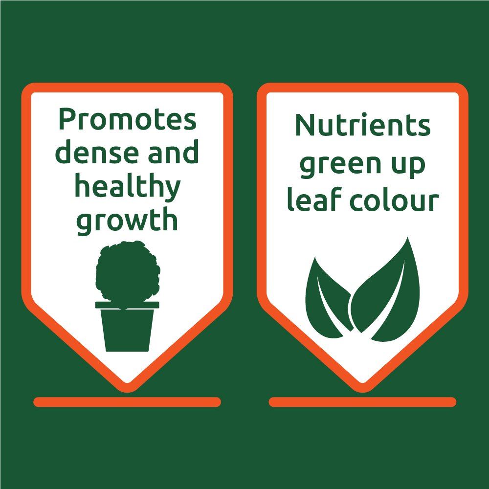 VITAX BUXUS FEED 1000G. 6BF1 096088