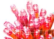 RED BATTERY OPERATED 40 LED STRING. BML88820_RED \\\BML88820_RED