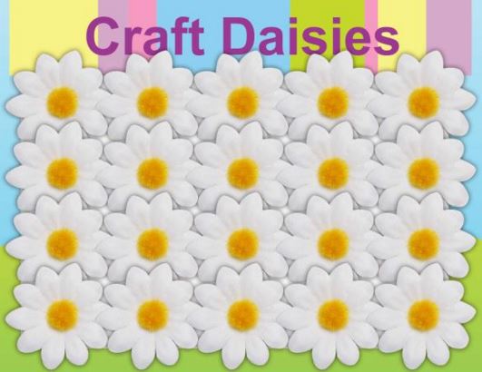 PACK OF 25 CRAFT DAISIES DAISY WHITE OLNY. G24092W 06448 \\\DP06448