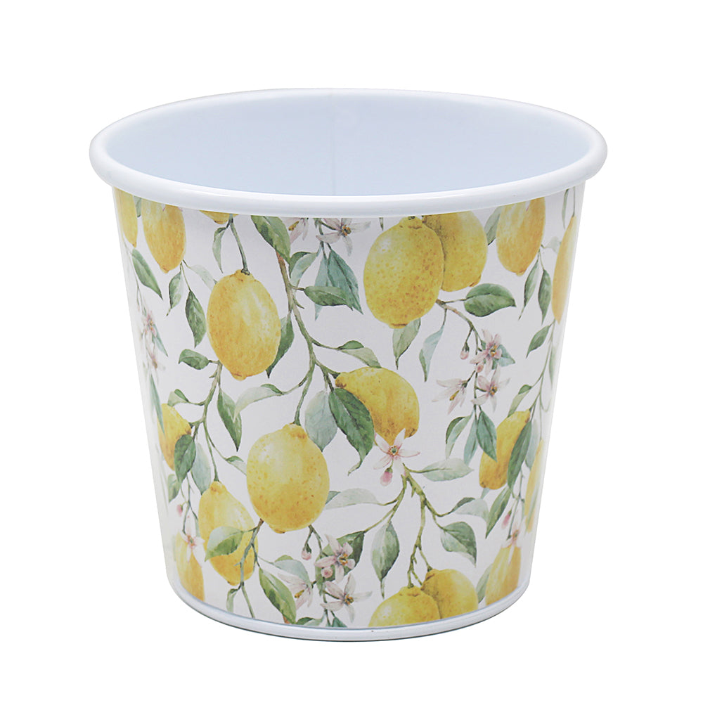 LEMON GROVE PLANTER. LP73729 \\\KD04932