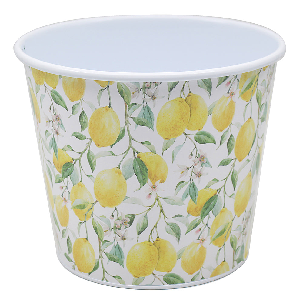 LEMON GROVE PLANTER. LP73730 \\\KD04933