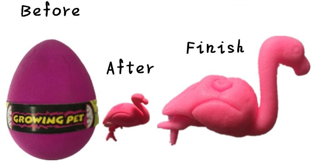 GROWING FLAMINGO EGG. PI549069 \\\KD10459