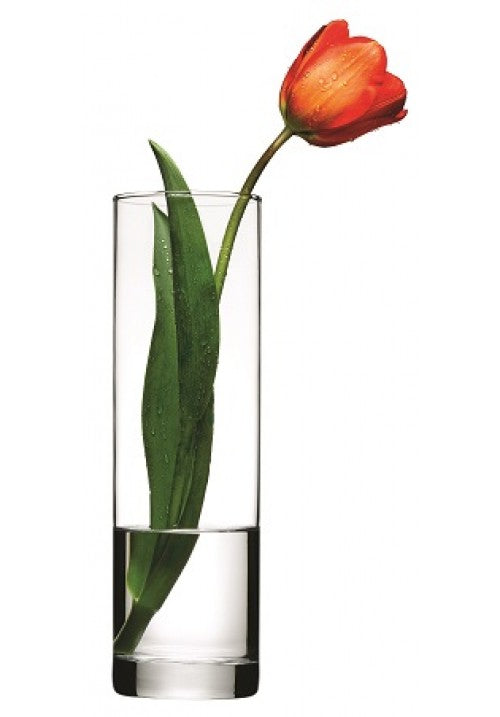 PASABAHCE BOTANICA CYLINDER VASE IN GIFT BOX 27CM. 43767 \\\KD10839