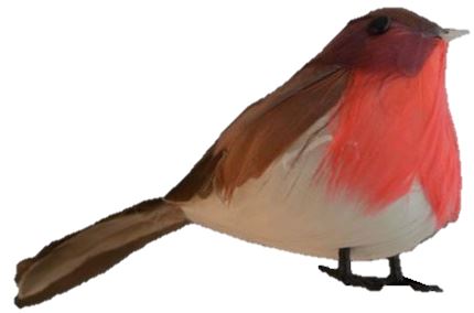 ROBINS IN DISPLAY TRAY. 55205 \\\KD11543