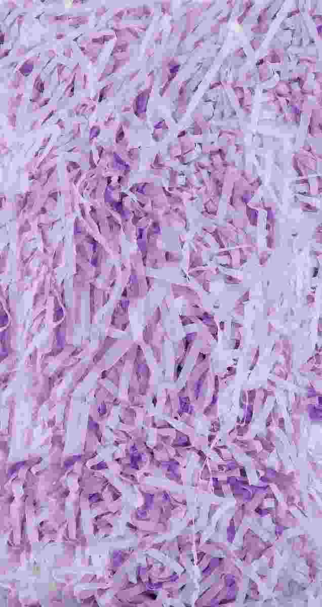 COUNTY LILAC SHREDDED TISSUE. CN62 \\\KD13702