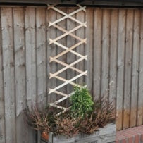 GARDEN TRELLIS 6 X 1 FT. TRELIS1 \\\KD14380