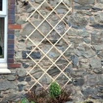 GARDEN TRELLIS 6X3FT. TRELIS3 \\\KD14382