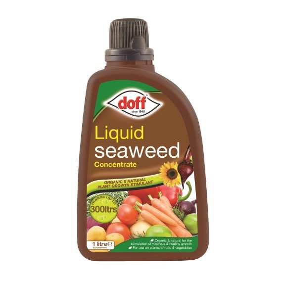 DOFF LIQUID CONCENTRATE SEAWEED PLANT FOOD 1000ML. F-JO-A00-DOF-05 \\\KD16171