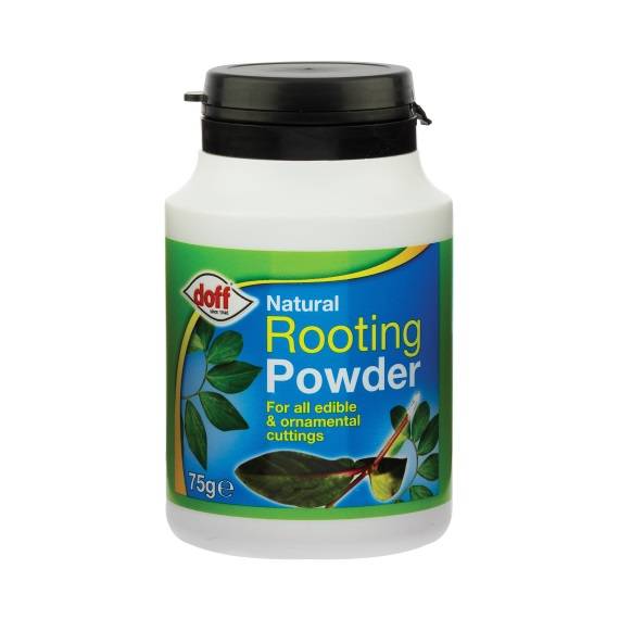 DOFF ROOTING POWDER 75GM. F-KE-075-DFF \\\KD16172