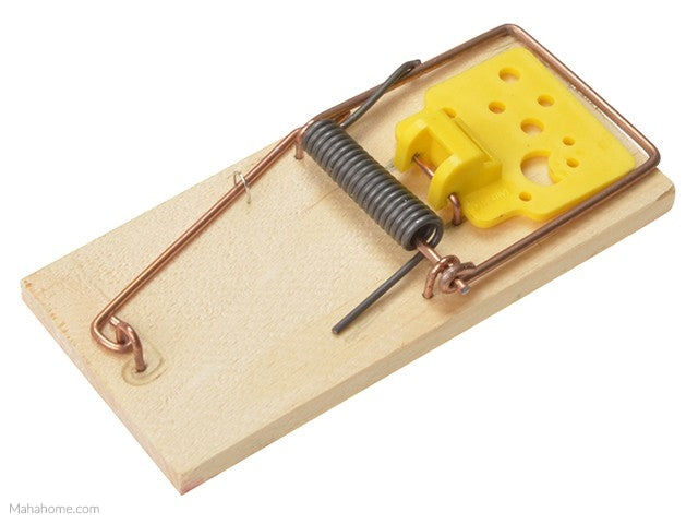 RENTOKIL WOODEN MOUSE TRAPS LOOSE. PWL01 \\\KD16919