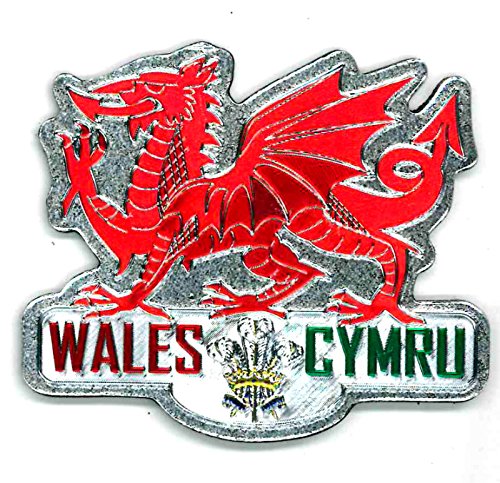 RED DRAGON FOIL STAMPED WALES CYMRU MAGNET. EL69760 \\\KD17194