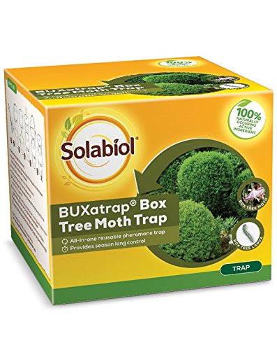 SOLABIOL BUXATRAP BOX TREE MOTH TRAP - 1 TRAP 139GM 40943. 86600043 \\\KD17835