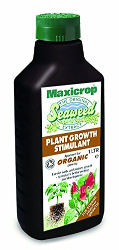 MAXICROP ORIGINAL SEAWEED EXTRACT 1L. POPGS61L \\\KD17840