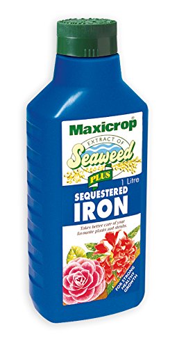 MAXICROP SEAWEED PLUS SEQUESTERED IRON 1 LITRE. PPSI61L \\\KD17842
