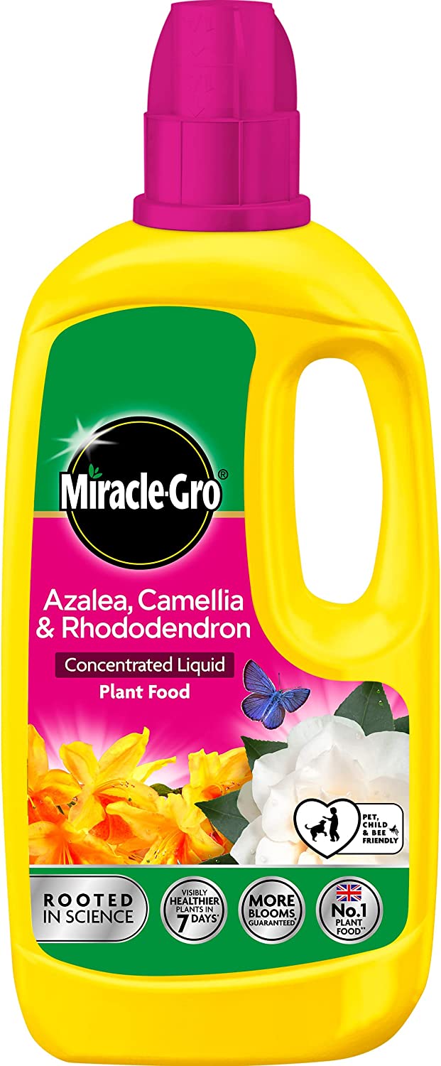 MIRACLE-GRO AZALEA CAMELLIA & RHODODENDRON CONCENTRATED LIQUID PLANT FOOD 800ML. 121180 95040 \\\KD18157