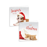 GIFTMAKER PET CHRISTMAS GREETINGS CARDS 12/PK. XAKGC812 \\\KD20167
