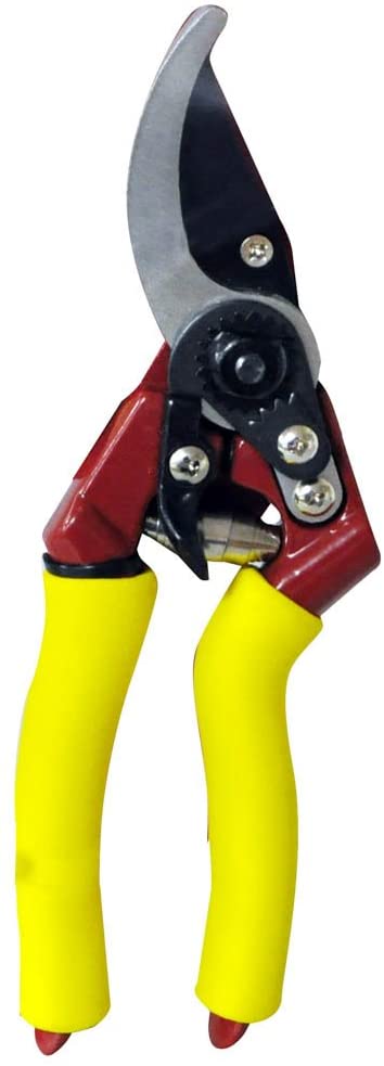 KINGFISHER PRO GOLD CUSHION GRIP DELUXE BYPASS SECATEURS. RC100 \\\KD20566