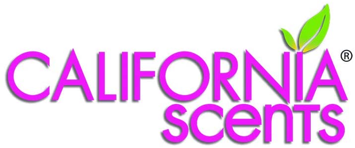 CALIFORNIA SCENTS CAR AIR FRESHENER 42G - ASSORTMENT. CCS12CT 851212 \\\KD21007