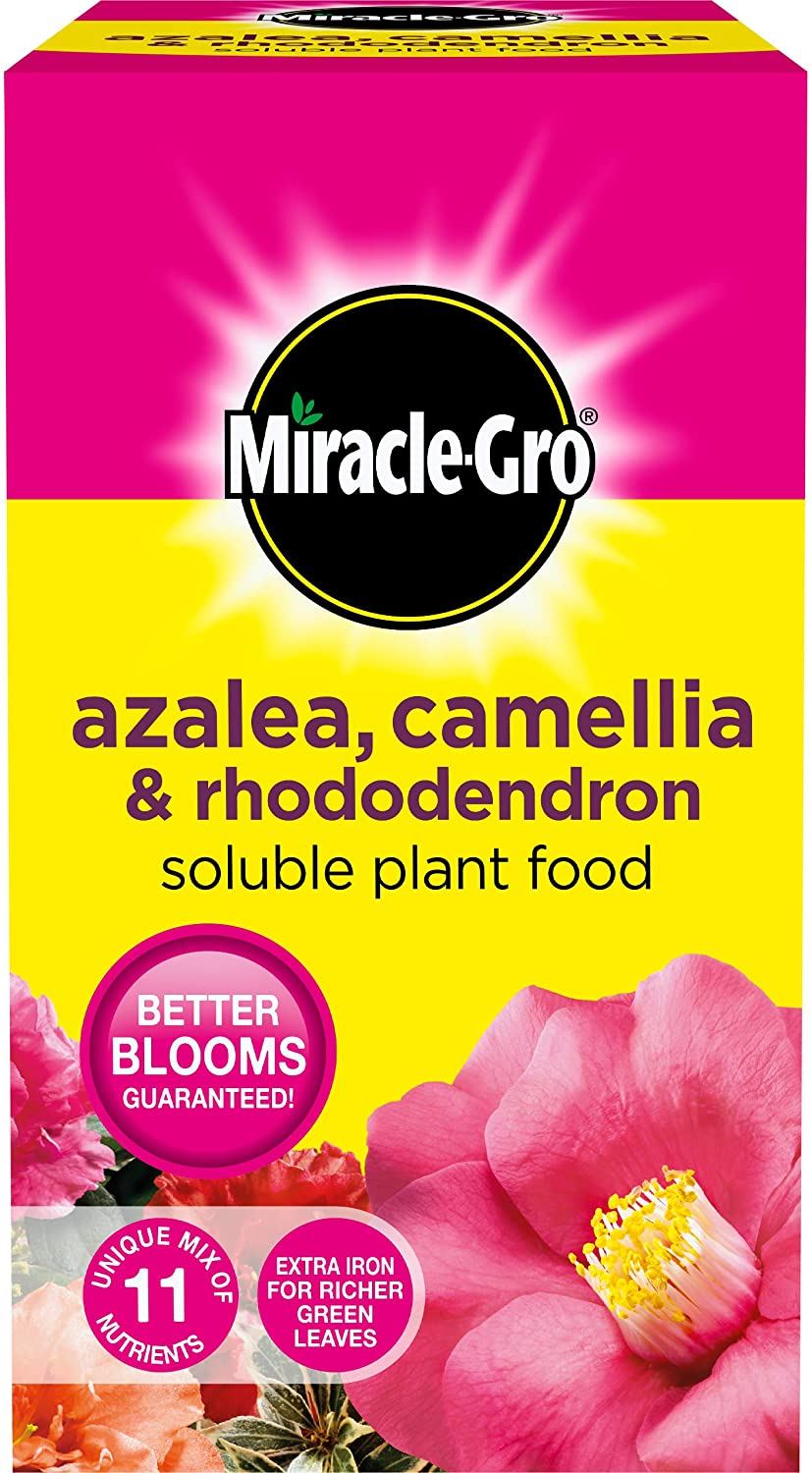 MIRACLE GRO AZALEA CAMELLIA & RHODODENDRON SOLUBLE PLANT FOOD 1KG. 016803 068788 \\\KD21492