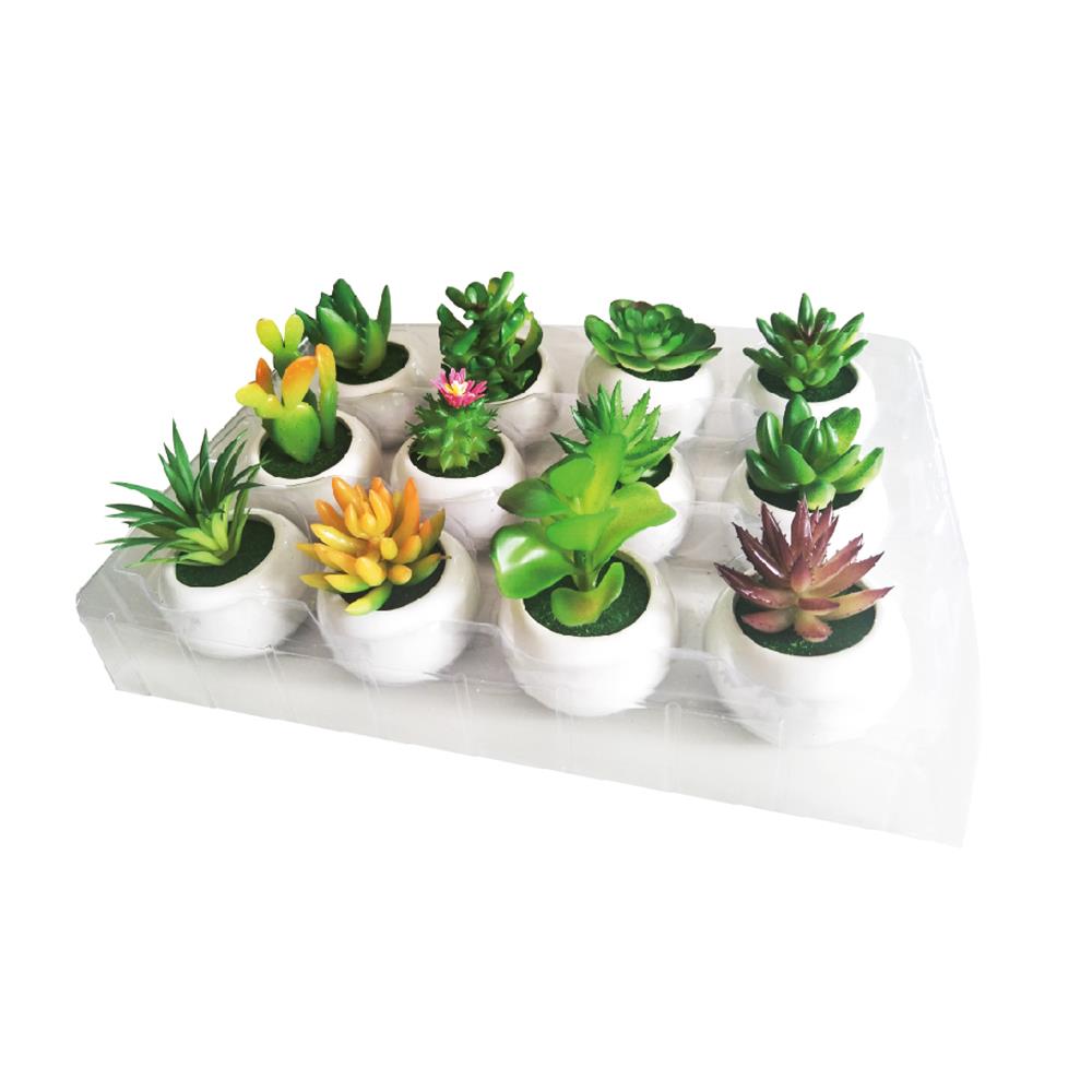 SMALL ARTIFICIAL SUCCULENTS PLANT WITH ROUND WHITE POT. AN020 \\\KD22389