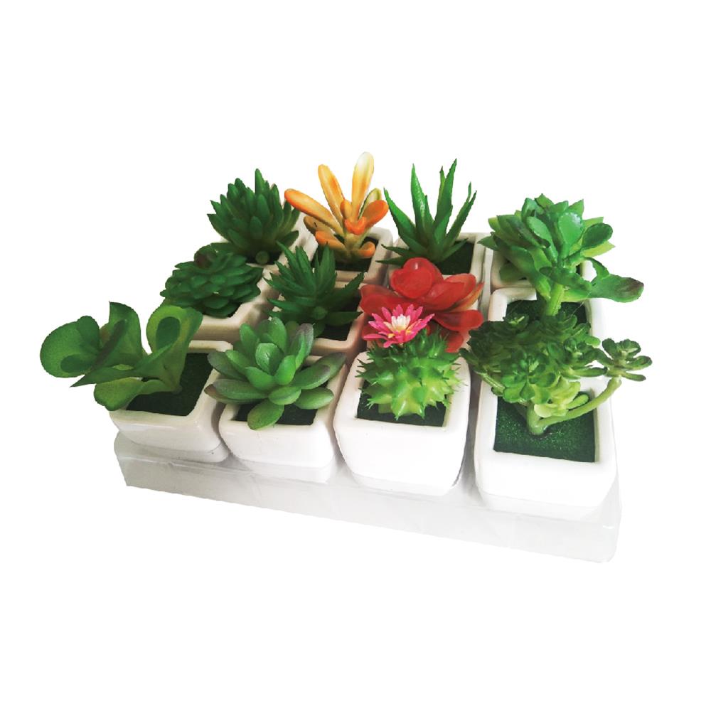SMALL ARTIFICIAL SUCCULENTS PLANT WITH SQUARE CLEAR POT. AN019 \\\KD22390