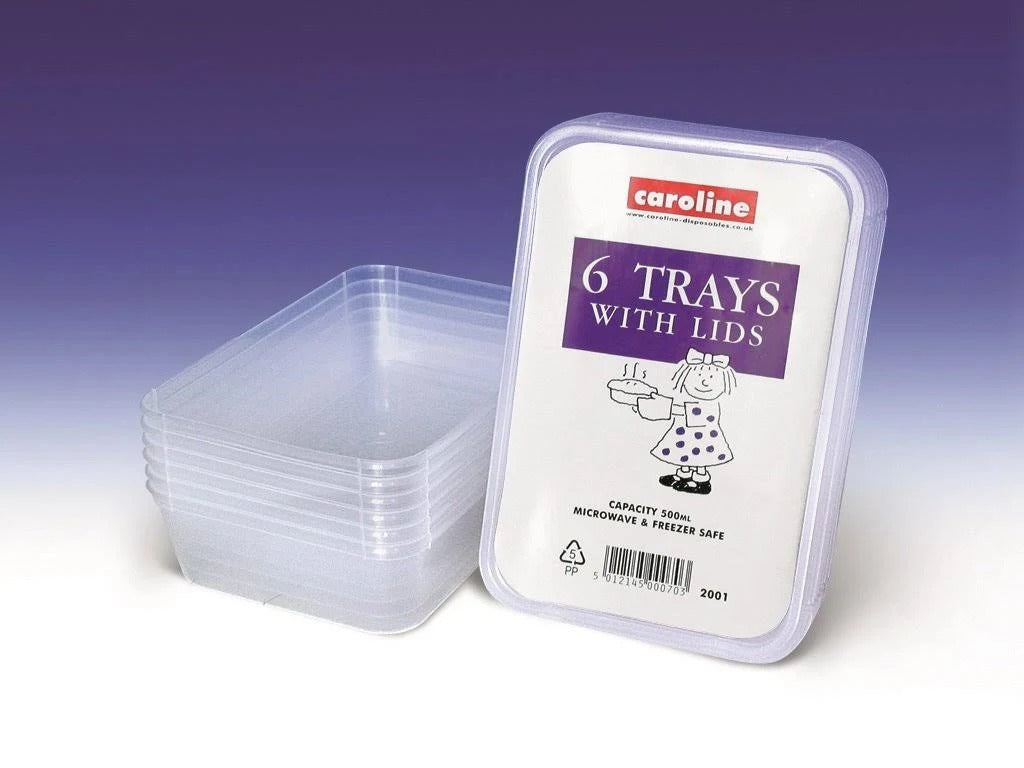 CAROLINE MICROWAVE PLASTIC CONTAINERS WITH LIDS 500ML 6/PK. CV2001 \\\KD22549