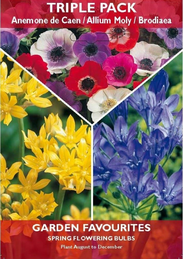 TRIPLE PACK OF ANEMONE ALLIUM BRODIAEA GARDEN SPRING FLOWERING BULBS. 8711148402299 \\\KD22863