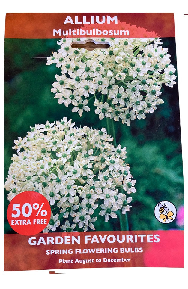 DE REE ALLIUM MULTIBULBOSUM (15). 8711148416463 \\\KD22868