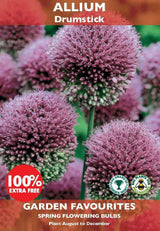 PACK OF ALLIUM DRUMSTICK SPRING FLOWERING BULBS 30 FOR THE PRICE OF 15. 8711148205845 \\\KD22869