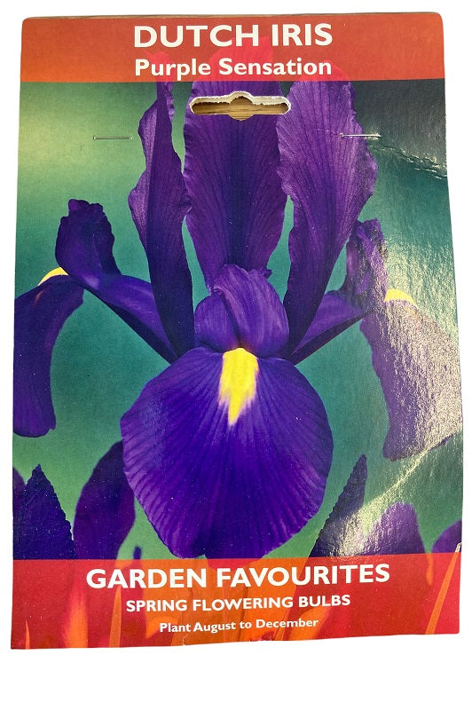 DE REE DUTCH IRIS PURPLE SENSATION 10 BULBS. 8711148205913 \\\KD22875
