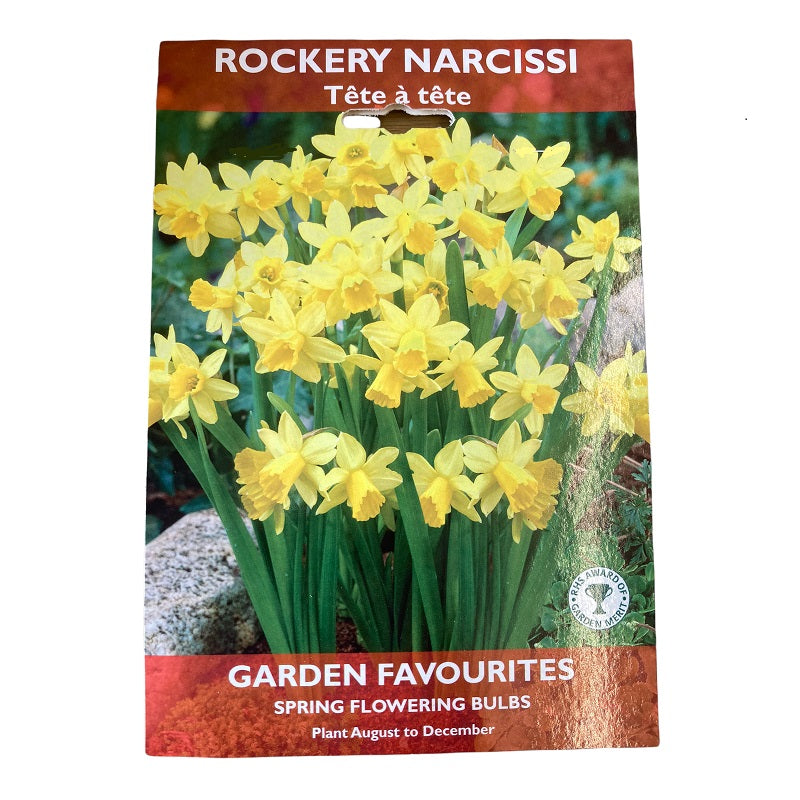DE REE ROCKERY NARCISSI TETE A TETE 6 BULBS. 8711148416500 \\\KD22876