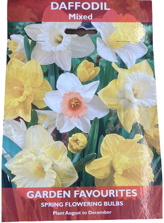 DE REE DAFFODIL MIXED 6 BULBS. 8711148401322 \\\KD22880
