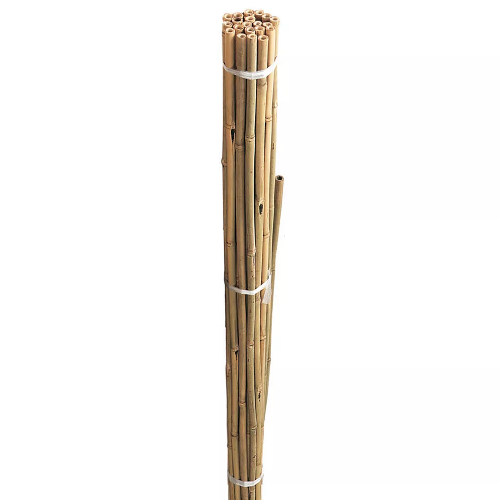 WESTLAND BAMBOO CANE BUNDLE 60CM  20/PK. 08060 \\\KD23543