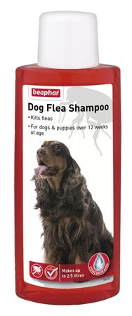 BEAPHAR DOG FLEA SHAMPOO 250 ML. BE17815 \\\KD23798