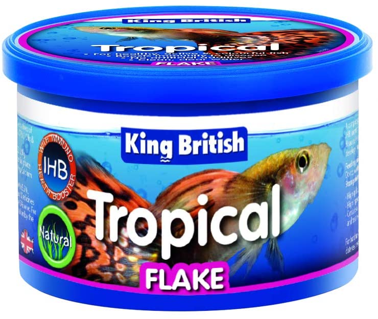KING BRITISH TROPICAL FLAKE FOOD 12G. BE17849 \\\KD23808