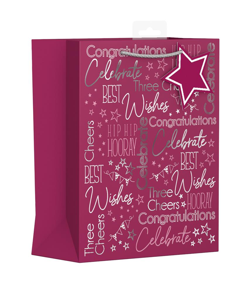 MULTI OCCASION MEDIUM GIFT BAG - PINK. YALGB42M/1 \\\KD24639