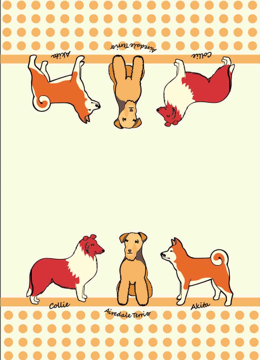 HIGHLANDS COTTON TEA TOWEL 50CM X 70CM 3/PK - DOG FAITHFUL FRIEND. DOGTT \\\KD24953