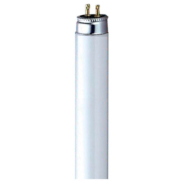 CROMPTON FLUORESCENT 12 T5 TUBE 8W 380LM 3500K HALOPHOSPHATE WARM WHITE. FT128WW \\\KD27020