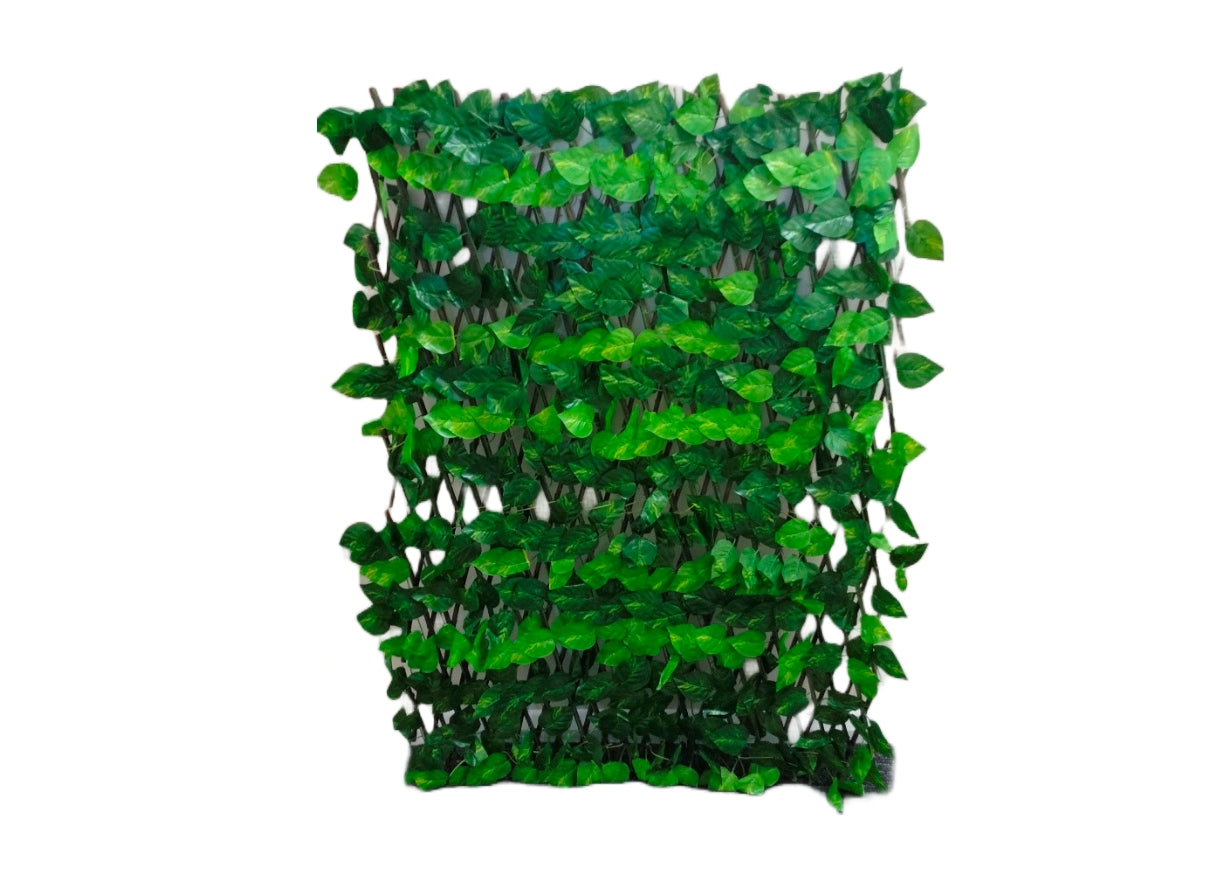 EXPANDING LEAF TRELLIS. ETRELIS1 \\\KD27426