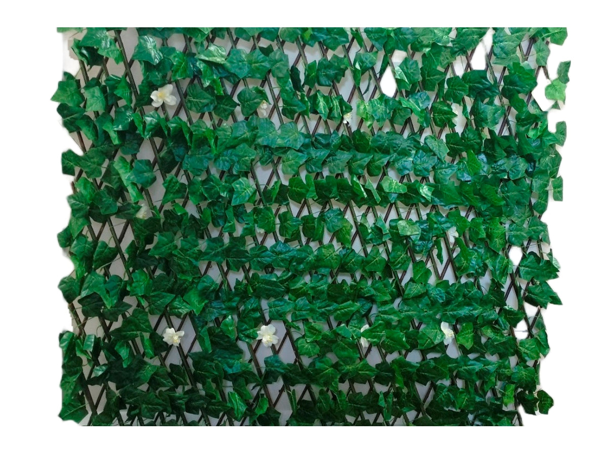 EXPANDING FLOWER TRELLIS. ETRELIS2 \\\KD27427