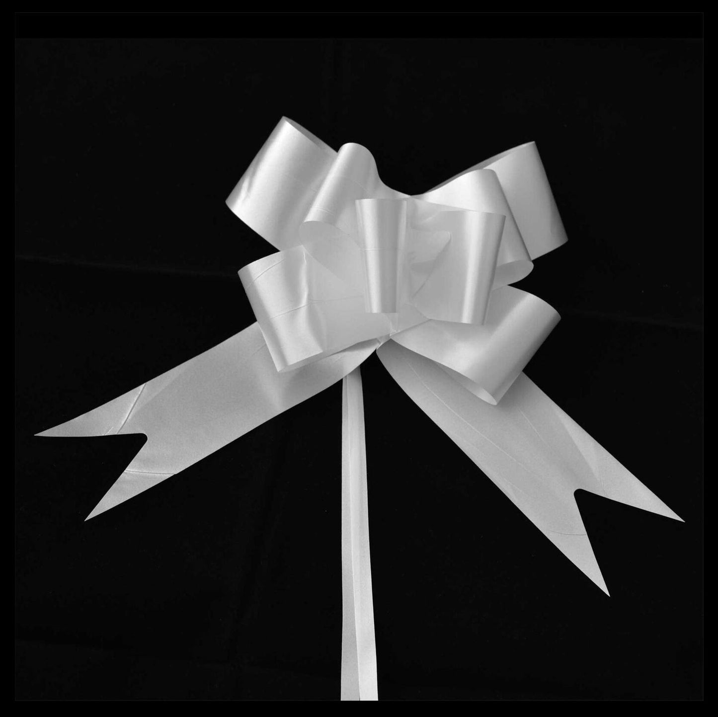 WHITE PULL BOWS RIBBONS 50MM 10/PK. 125300-CO \\\KD30895