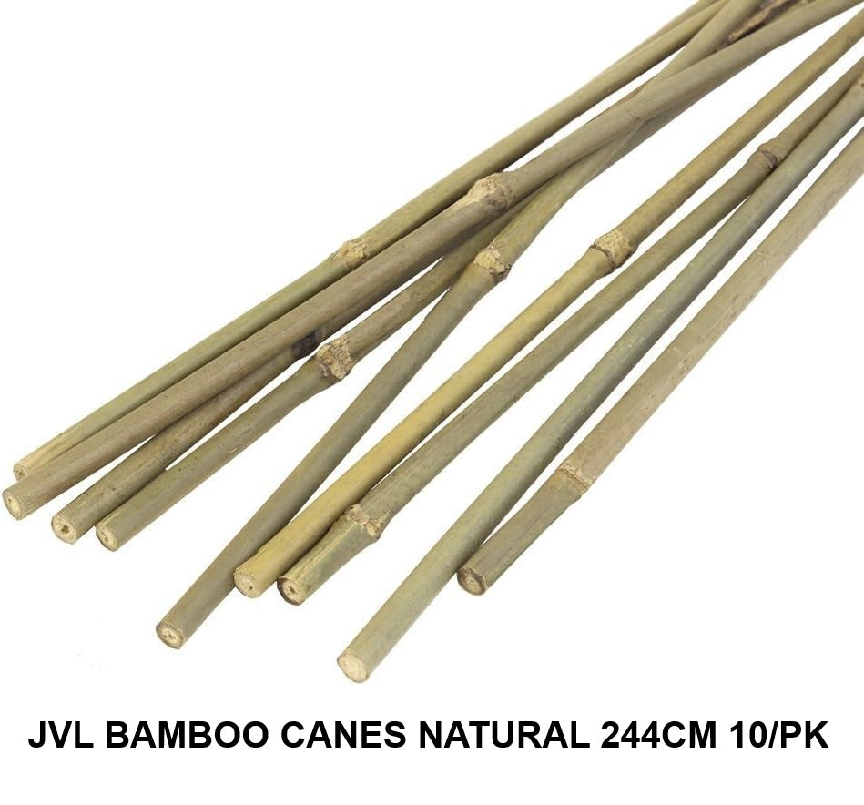 JVL BAMBOO CANES NATURAL 244CM 10/PK \\\KD31839