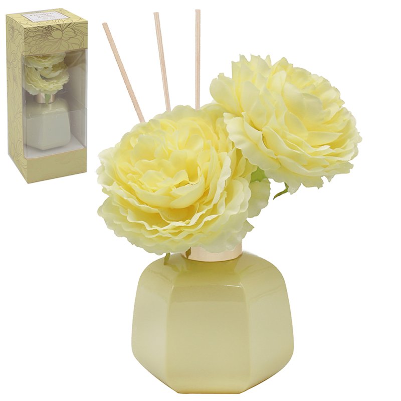 THE LEONARDO COLLECTION DESIRE VANILA & ANISE DIFFUSER 100ML \\\KD33978