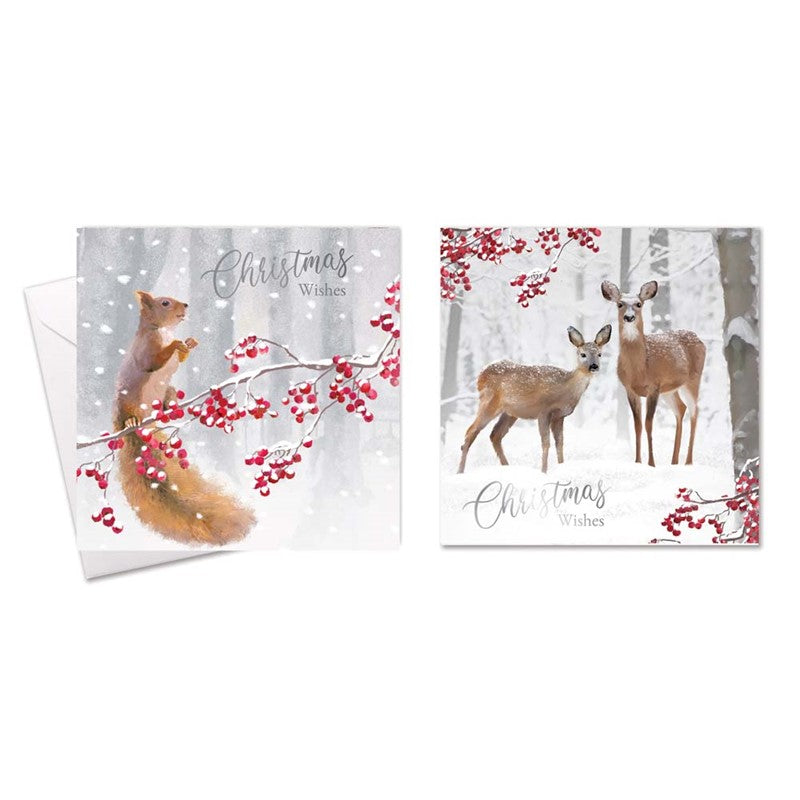CHRISTMAS CARDS SQUIRREL & DEER 10 PACK SQUARE BOXED. TAX9011A \\\KD35574