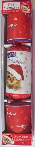 KITTEN WITH HAT PET CHRISTMAS CRACKERS. PKIT \\\PKIT