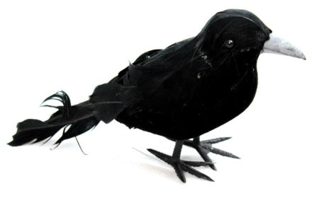 HALLOWEEN BLACK FEATHERED FOAM CROW. PM976099 \\\PM976099
